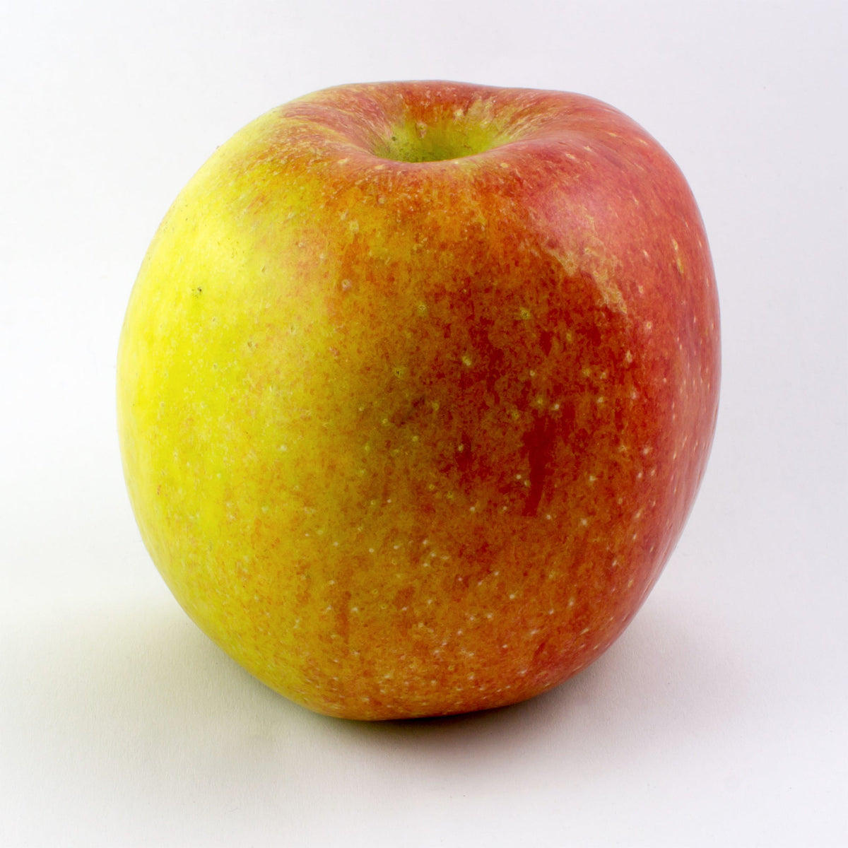Braeburn fruit reference photograph, not exact nursery tree