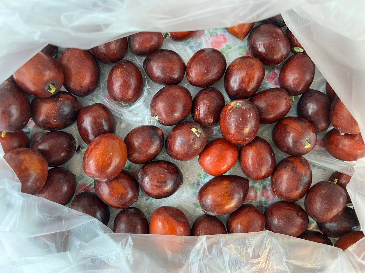 Jujube fruit species photo by Kurmanbek CC BY-SA 4.0; not confirmed Lang cultivar or actual nursery tree