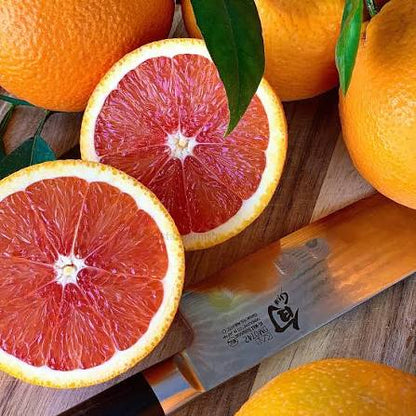 Cara Cara navel orange tree for a Southern California home orchard