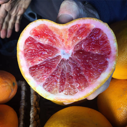 Cut Valentine pummelo showing pink flesh