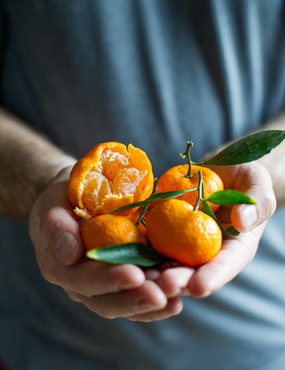 Kishu mini mandarin tree for a Southern California home orchard