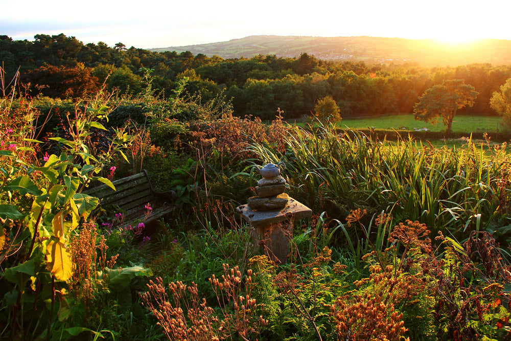 Landscape Consultation