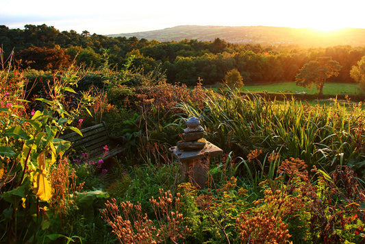 Landscape Consultation
