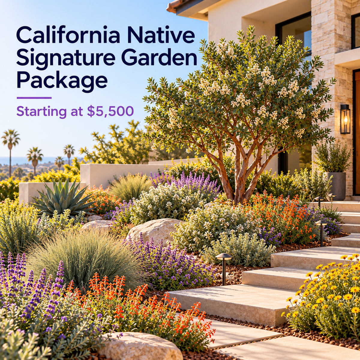 California Native Signature Garden Package - Earth People LandCare