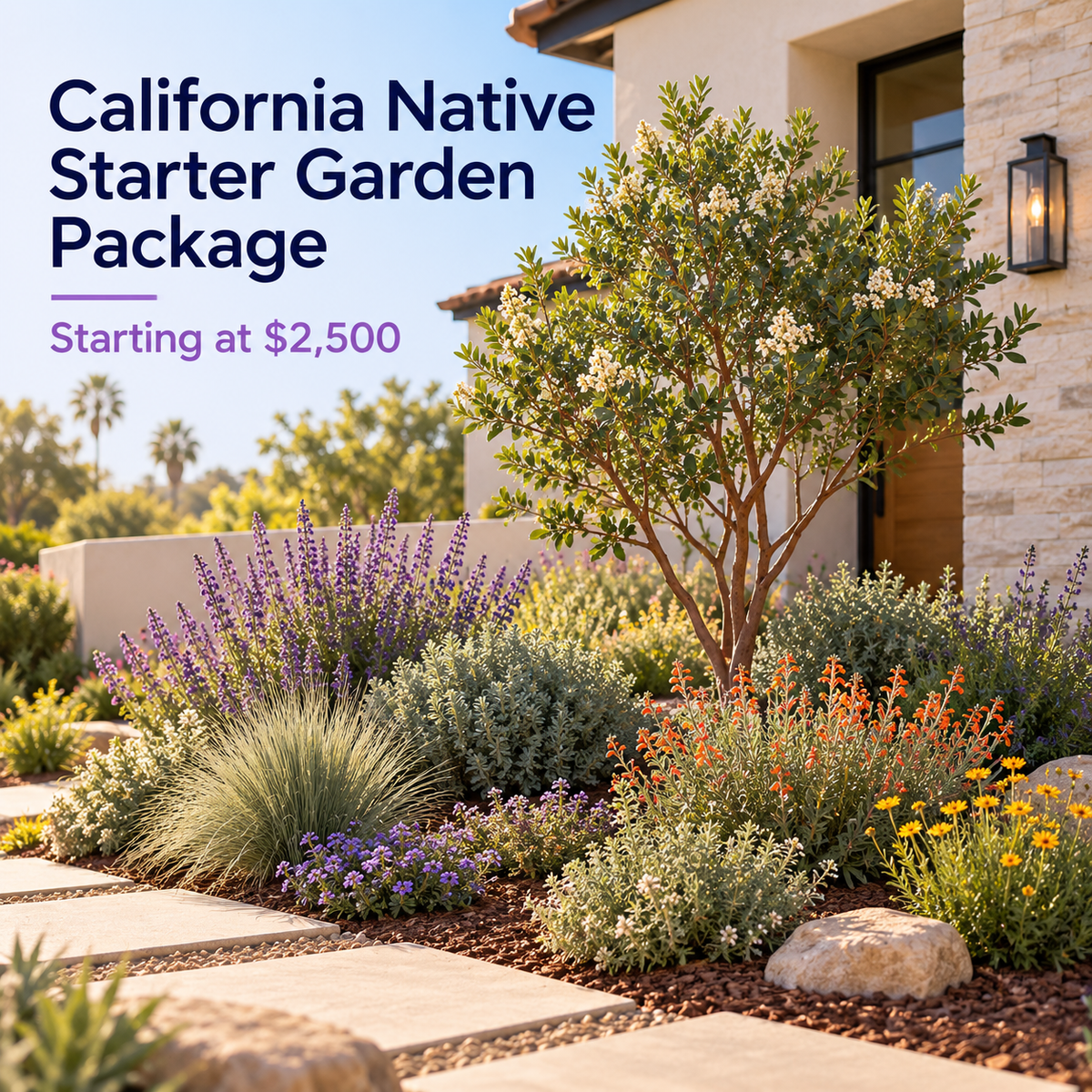 California Native Starter Garden Package - Earth People LandCare