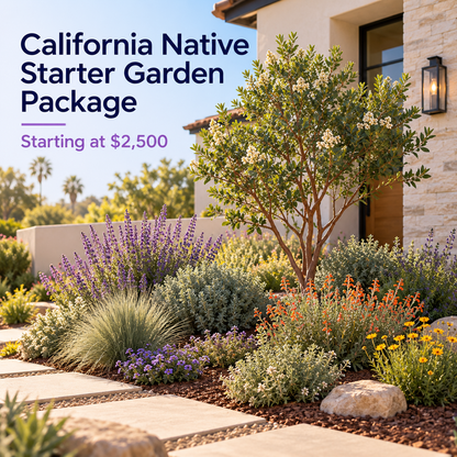 California Native Starter Garden Package - Earth People LandCare