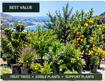 Fruit trees and edible companion plants in an Earth People Landcare food forest starter package