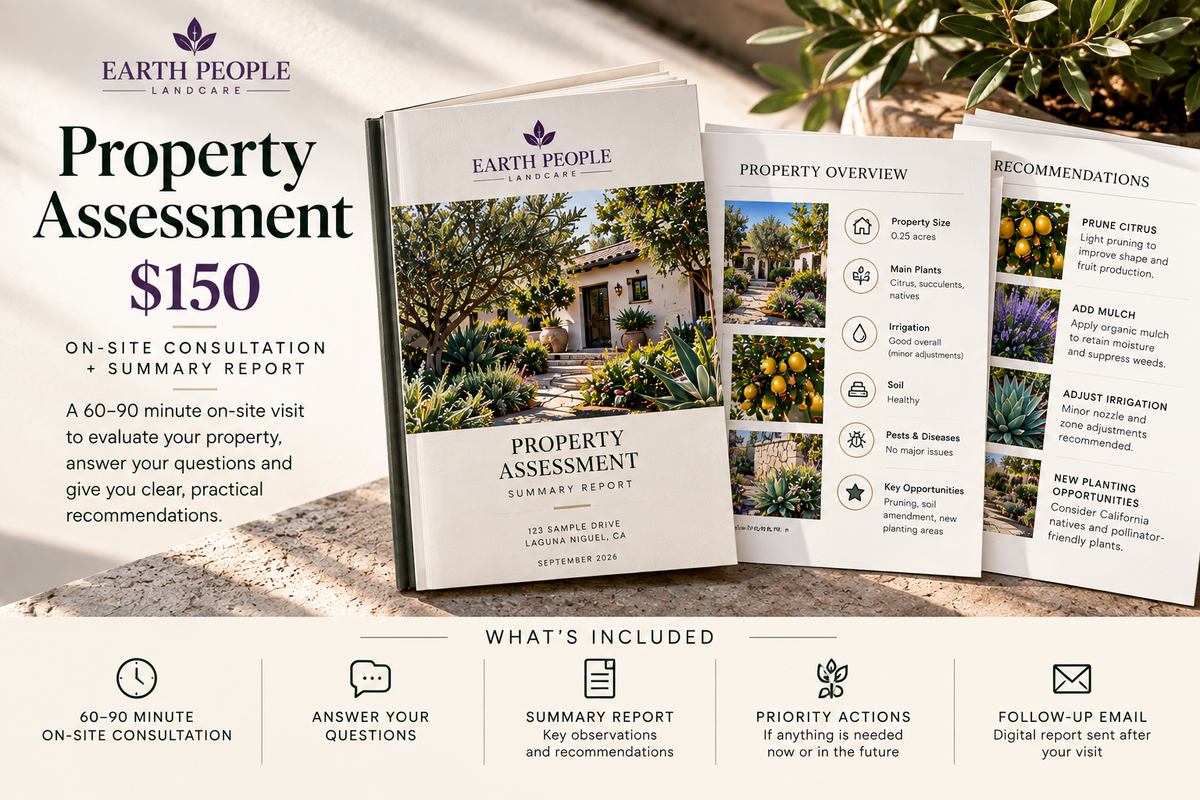 Earth People $150 landscape and property consultation example