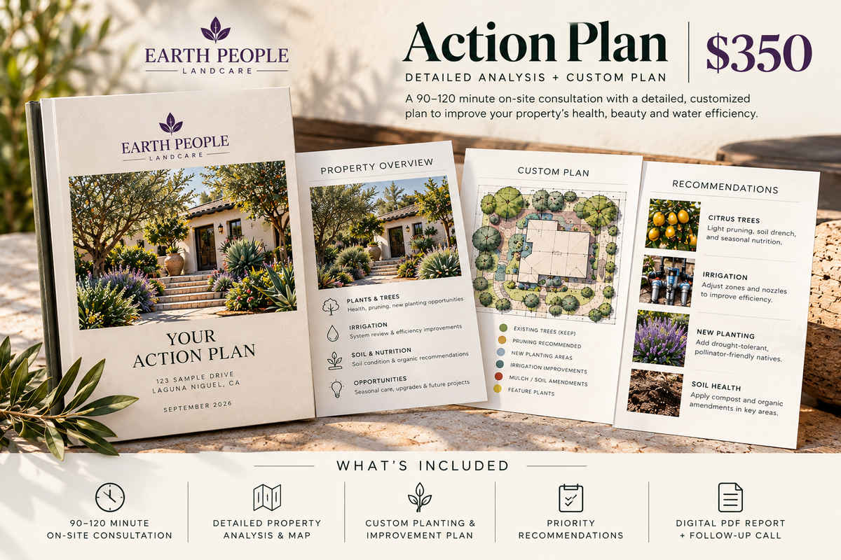 Earth People $350 Property Assessment and Action Plan example deliverables