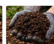 Organic soil and root health planting add-ons for trees