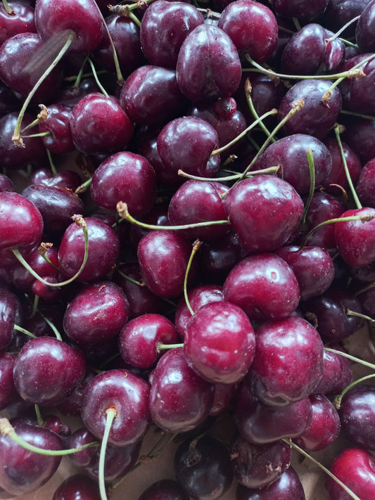 Representative cherry fruit stock photo, not verified as Rainier Sweet Cherry or actual nursery specimen