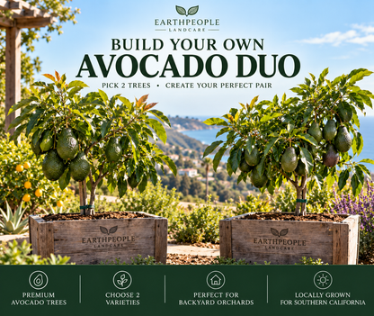 Earth People Landcare Build Your Own Avocado Duo, two customizable avocado trees, representative package illustration