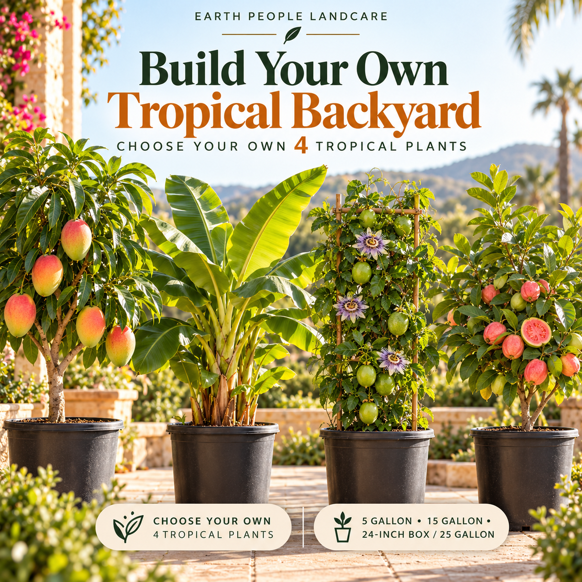 Earth People Landcare Build Your Own Tropical Backyard — four customizable tropical edible plants