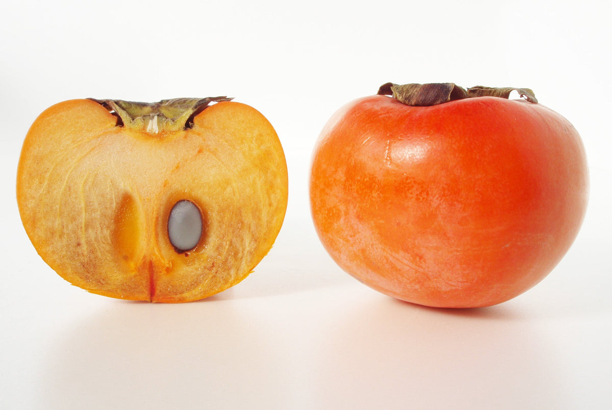 Fuyu fruit reference photograph, not exact nursery tree