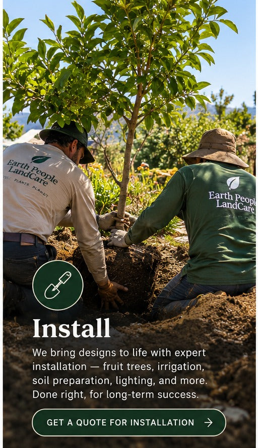 Earth People LandCare fruit tree and landscape installation