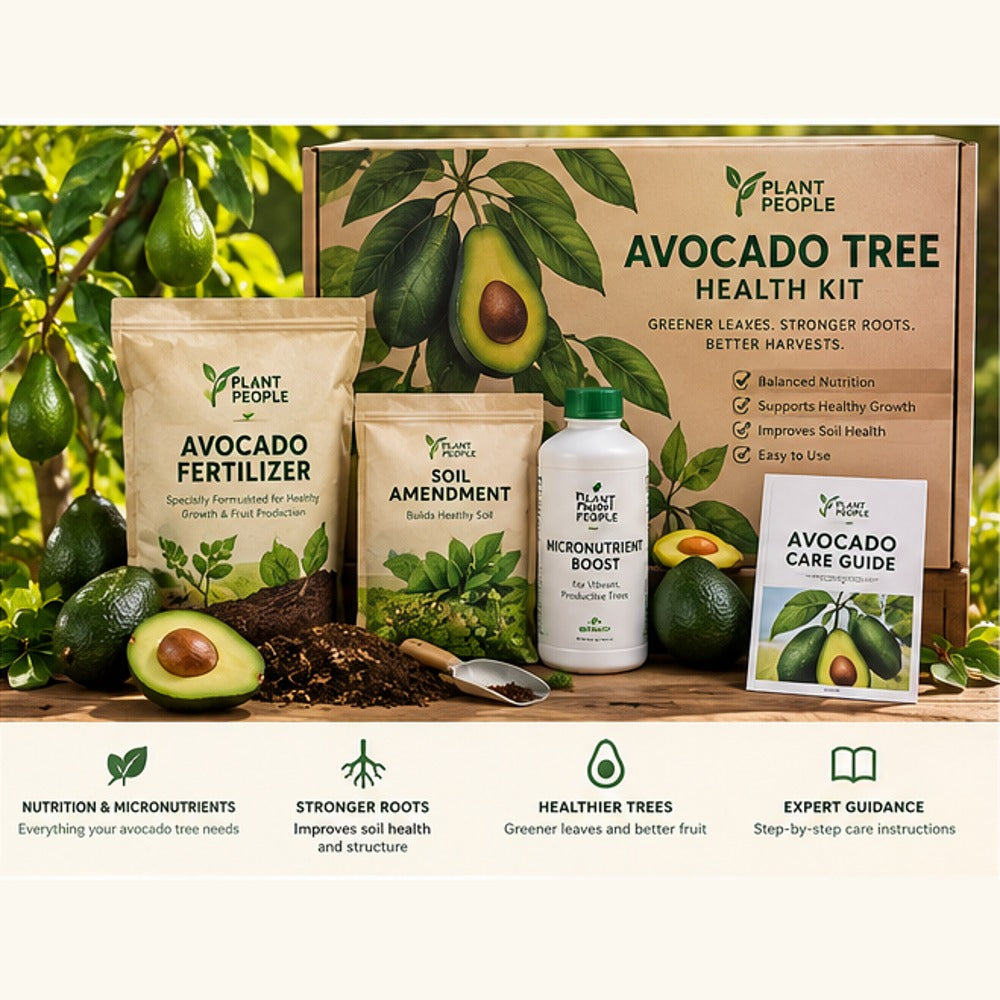 AI-generated visual concept only; actual included products may differ.