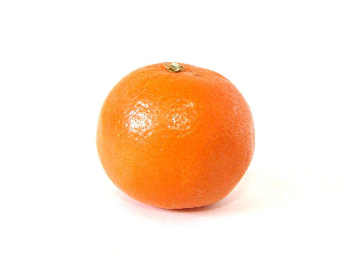 Clementine Mandarin — representative plant photograph, not the actual nursery specimen; cultivar not verified