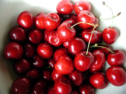 Stella Sweet Cherry — representative photograph, not the sale specimen; cultivar not verified