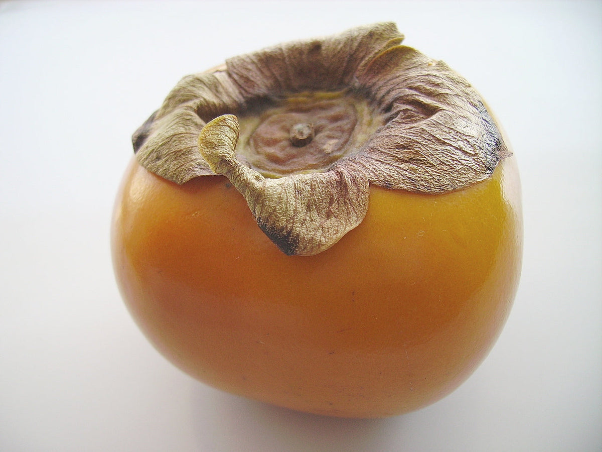Chocolate Persimmon — representative photograph, not the sale specimen; cultivar not verified