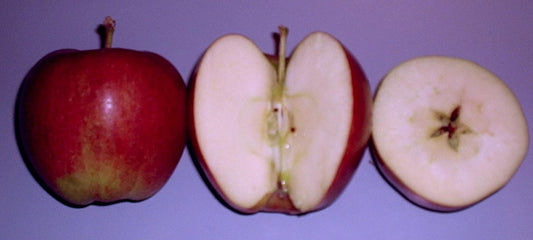 Braeburn apple — representative photograph.